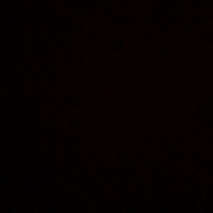 Meet your Posher, Ramon